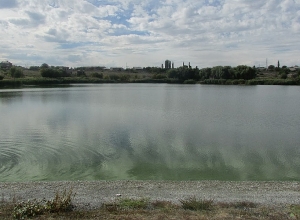 Քաղաքացին ընկել է Երևանյան լիճը և չի կարողանում ինքնուրույն դուրս գալ