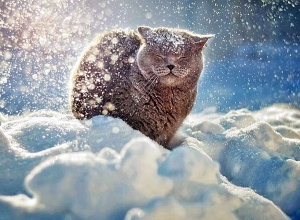 Եվս 5-7 աստիճանով կցրտի. սպասվում է ձյուն