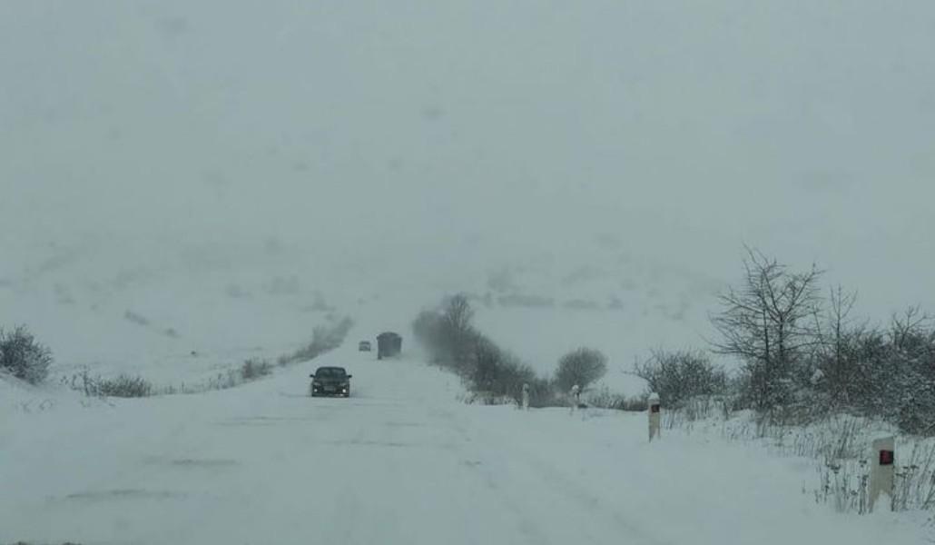 271894474_300031862142989_8997376769111552661_n