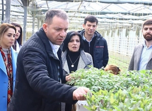 Վահան Քերոբյանը մշակաբույսերի գիտական կենտրոնում էր