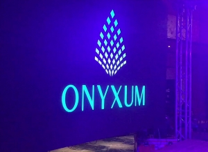 Բացահայտվել է քողարկված ֆինանսական բուրգի որոշակի մասի գործունեությունը