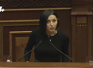 Տիկին Ստամբուլյան, Ստամբուլ․․․ լավ է, ոչ մի բան․ Վարդանյանը չցանկացավ շարունակել ելույթը