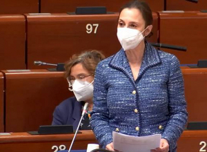 ՀՀ-ն կարող է հպարտանալ իր ձեռքբերումներով. շվեդ պատգամավորը ԵԽԽՎ-ում՝ ժողովրդավարական ինստիտուտների մասին