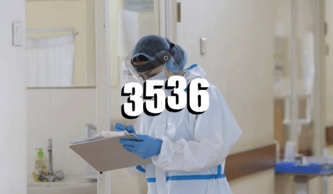 3 536 случаев коронавируса за последние 24 часа