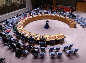 Совет безопасности ООН проводит заседание по ситуации вокруг Украины