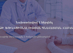 Նախատեսվում է ներդնել անձի ֆունկցիոնալության գնահատման համակարգ