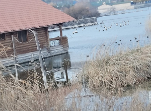 25-ամյա երիտասարդն էլեկտրահարվել էր և ընկնելով ջրի մեջ՝ մահացել․ մանրամասներ