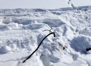 Полицейские Артика поймали мужчин прямо в карьере
