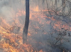 «Ճեռի ղաշ»-ում հրդեհը դեռ չեն մարել