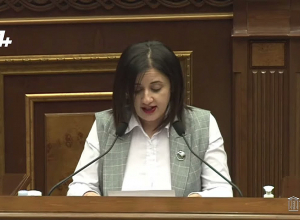 Мамиджанян проголосовал против вместе с турецкой и азербайджанской делегацией: наверное, чувствовал себя в зале НС