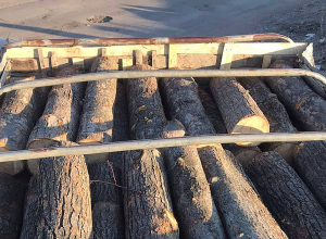 Լոռու մարզում ապօրինի անտառահատումները և պատճառված վնասները նվազել են