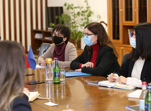 Գնել Սանոսյանն ընդունել է ՅՈՒՆԻՍԵՖ-ի ներկայացուցիչ Քրիստինե Վայգանդին