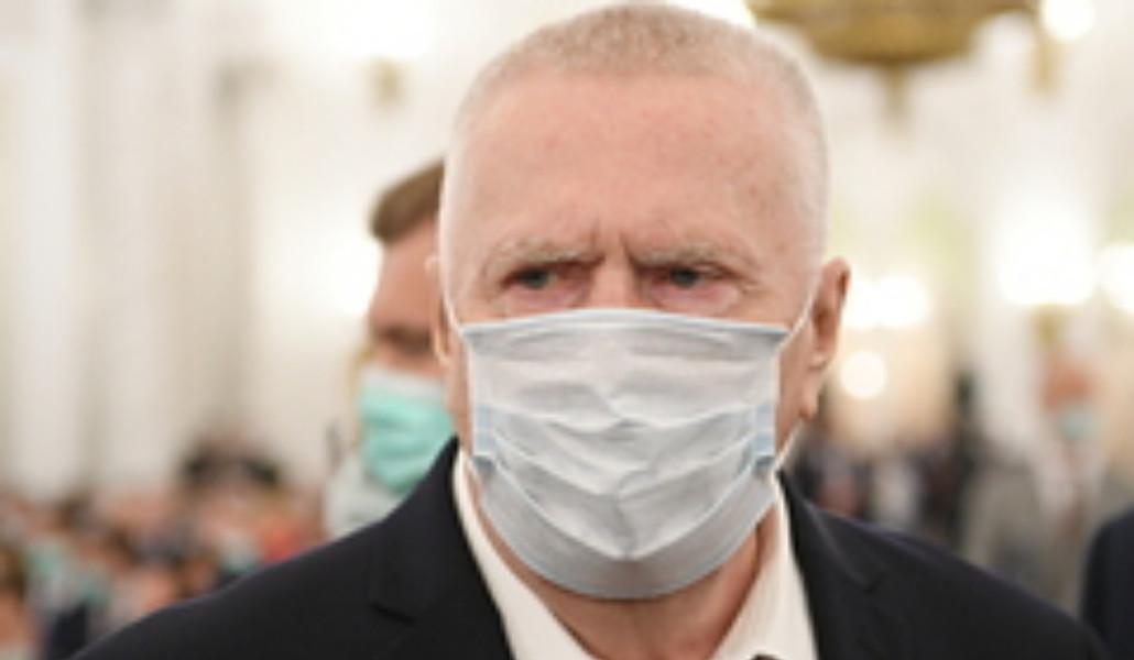 owl_detail_240_44881eefdc177310aa52a4cda062c172