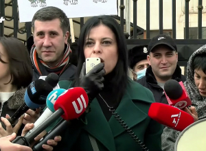 Հայաստանում ԵՄ դեսպան խոնարհվում է Նիկոլ Փաշինյանի առաջ․ Արեգնազ Մանուկյան