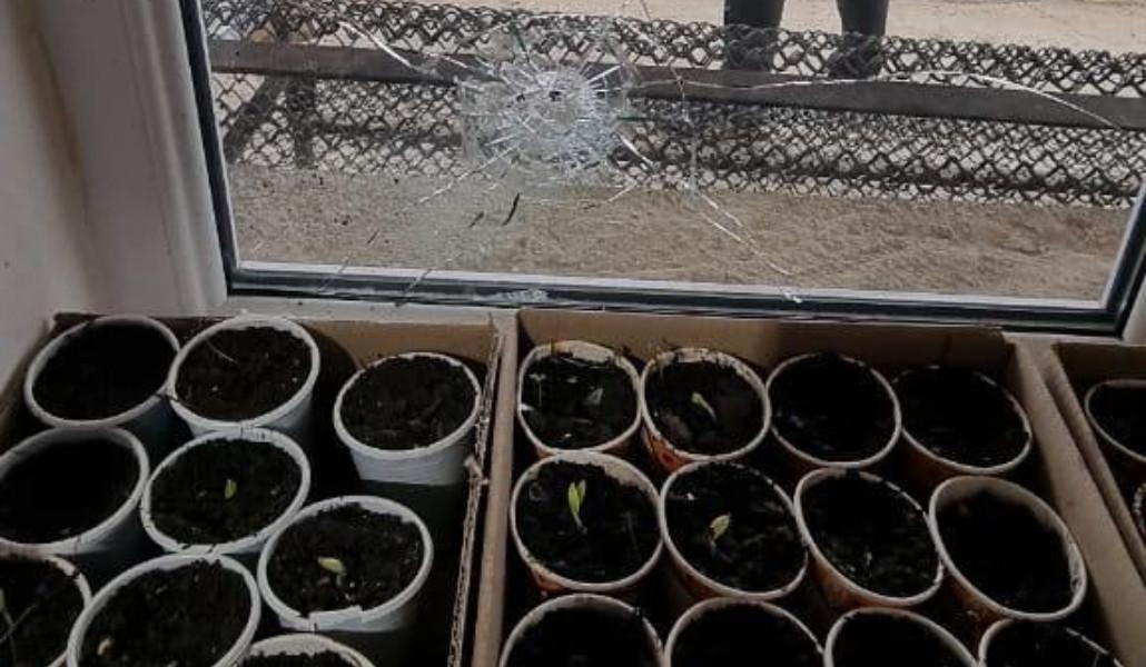 273444513_169189915433889_5221563522704385913_n