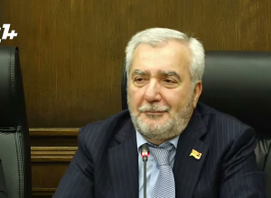 ГД о включении Арцруна Ованнисяна в состав комиссии в качестве эксперта