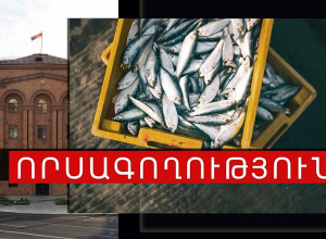 Ռետինե ճտքակոշիկներ, ուռկան․ որսագողերը հայտնաբերվեցին