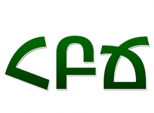 Օրինագիծն ուղղակիորեն սպասարկում է Լիդիան Արմենիա ընկերությանը. ՀԲՃ