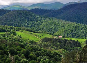 «Հայաստան» հիմնադրամի գործադիր տնօրեն Հայկակ Արշամյանը և հիմնադրամի ներկայացուցիչներն այցելել են Տավուշի մարզ