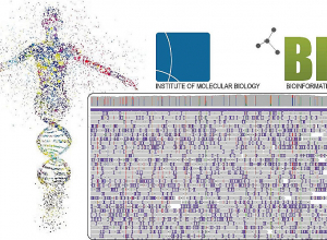 Առաջին անգամ Հայաստանում իրականացրել են մարդու ամբողջական գենոմի վերծանում