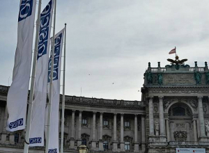 В Вене началось внеочередное заседание постоянного совета ОБСЕ