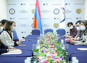 Омбудсмен Армении приняла руководителя ереванского офиса СЕ Мартину Шмидт