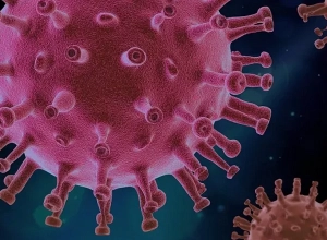 3 մահ, 21 նոր․ այսօրվա կորոնաթվերը