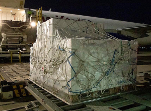 Правительство США предоставило Армении 306 тысяч доз вакцины «Пфайзер»