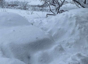 Մարգահովիտում ձյան ծածկը հասնում է 80 սմ-ի. Սուրենյան