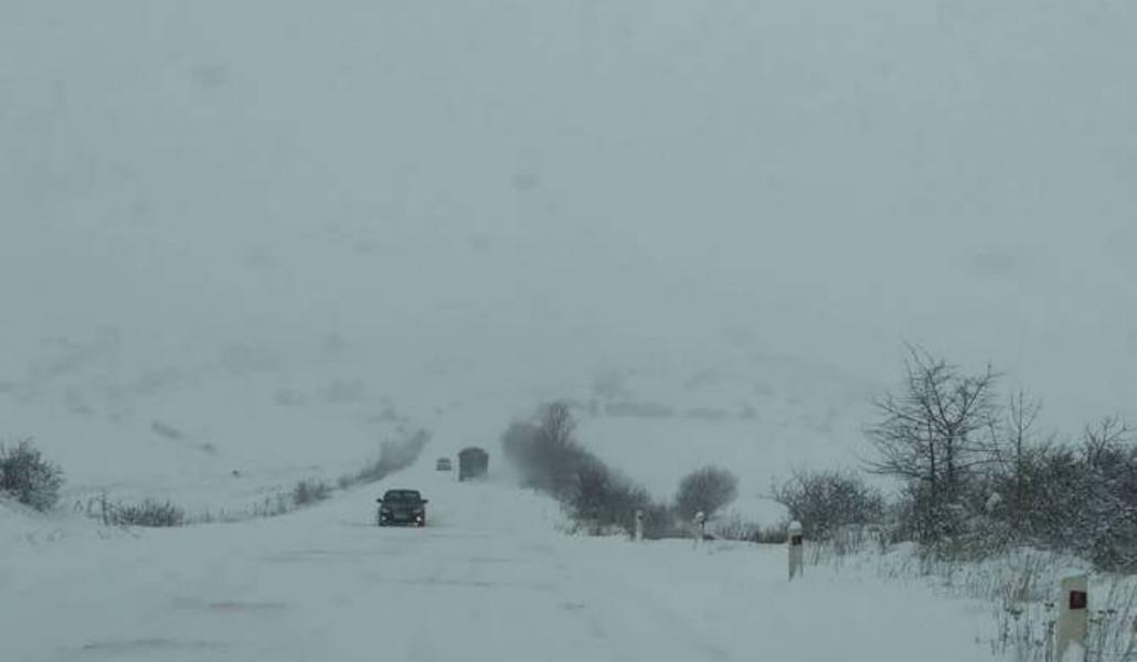 275334533_339114224901419_8001911803203300450_n