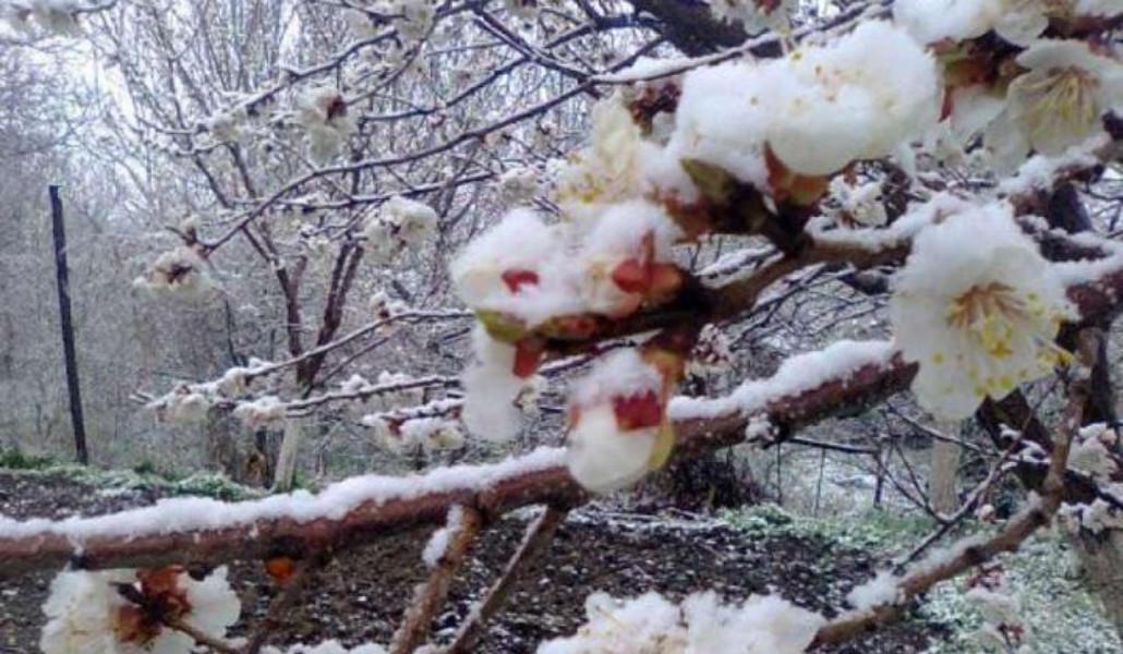 275978486_346942580810769_3543725699572940656_n