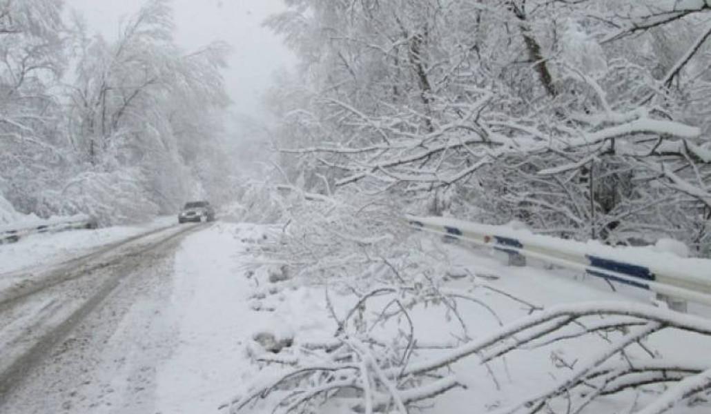 275239880_373356624797062_5202285364109986922_n