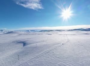 34 հազար եվրո CNF-ի կողմից՝ «Արփի լիճ» ազգային պարկին