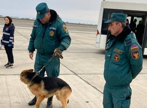 На борту самолёта Москва-Ереван бомбы не обнаружено: МЧС