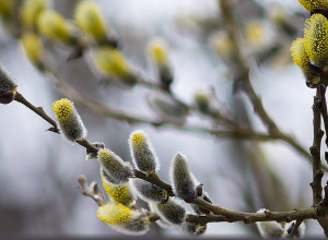 Մինչև մարտի 31-ը 7-10 աստիճանով տաքանալու է