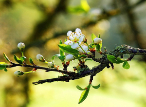 Եղանակն առաջիկայում