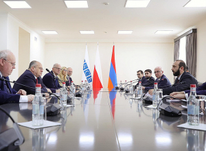 Տեղի է ունեցել Արարատ Միրզոյանի և ԵԱՀԿ գործող նախագահ Զբիգնև Ռաուի առանձնազրույցը