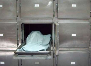 917 դիակներից ընդամենը 377-ի մասով են մուտքագրել գանձված գումարները, մնացածը՝ յուրացրել