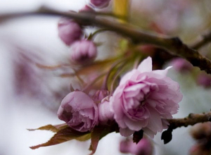 Ապրիլ ամսվա եղանակային կանխատեսումը