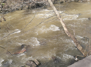 Նորաշենիկ գյուղի կամրջից քաղաքացին ընկել է գետը