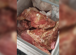 Ոչնչացվել է 48 կգ միս