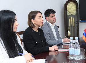 Кристине Григорян и посол Нидерландов обсудили пути сотрудничества по приоритетам Омбудсмена