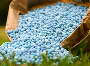 Պարարտանյութերի ձեռքբերման աջակցության ծրագիրն ընթանում է բնականոն հունով․ նախարարություն