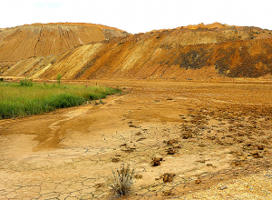 Ալեն Սիմոնյանից և Վահե Ղալումյանից ՀԿ-ները պահանջում են միջամտություն վիճահարույց օրինագծի հարցով