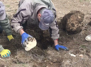 Պայքար մի բուռ վարելահողի համար․ Վահան Թումասյանի տեսանյութը