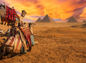 Եգիպտոս մեկնելու կարգը