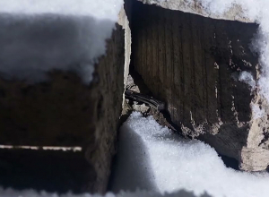 Покушение в городе Артик: полицейские Ширакской области раскрыли преступление