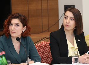 Պետք է չվարանենք խնդիրների մասին բաց խոսելուց․ ՄԻ պաշտպան