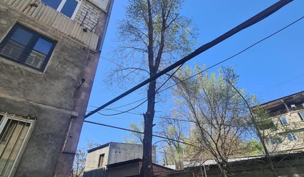 275888731_345891027574835_566134640260688848_n