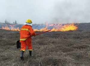 Հրշեջ-փրկարարները մարել են ընդհանուր 8.6 հա տարածքում բռնկված հրդեհները